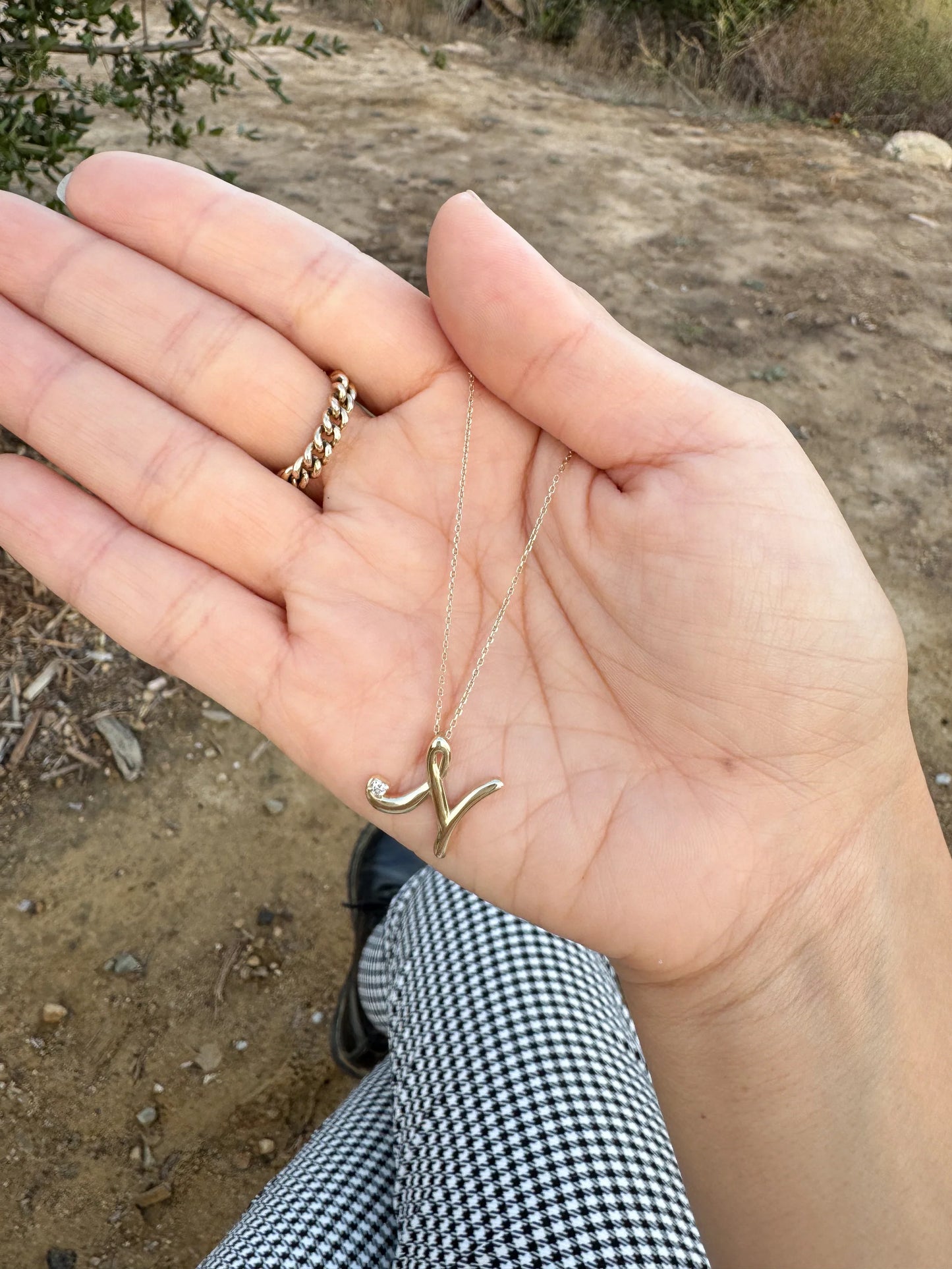 10k Diamond [N]anatural 2 Necklace